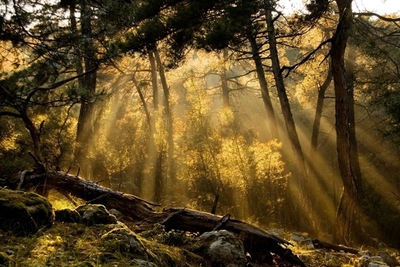 Βασικό κριτήριο για την κατάταξη των υποψηφίων θα είναι η εντοπιότητα